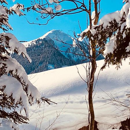 Appartements Living Saalbach 외부 사진