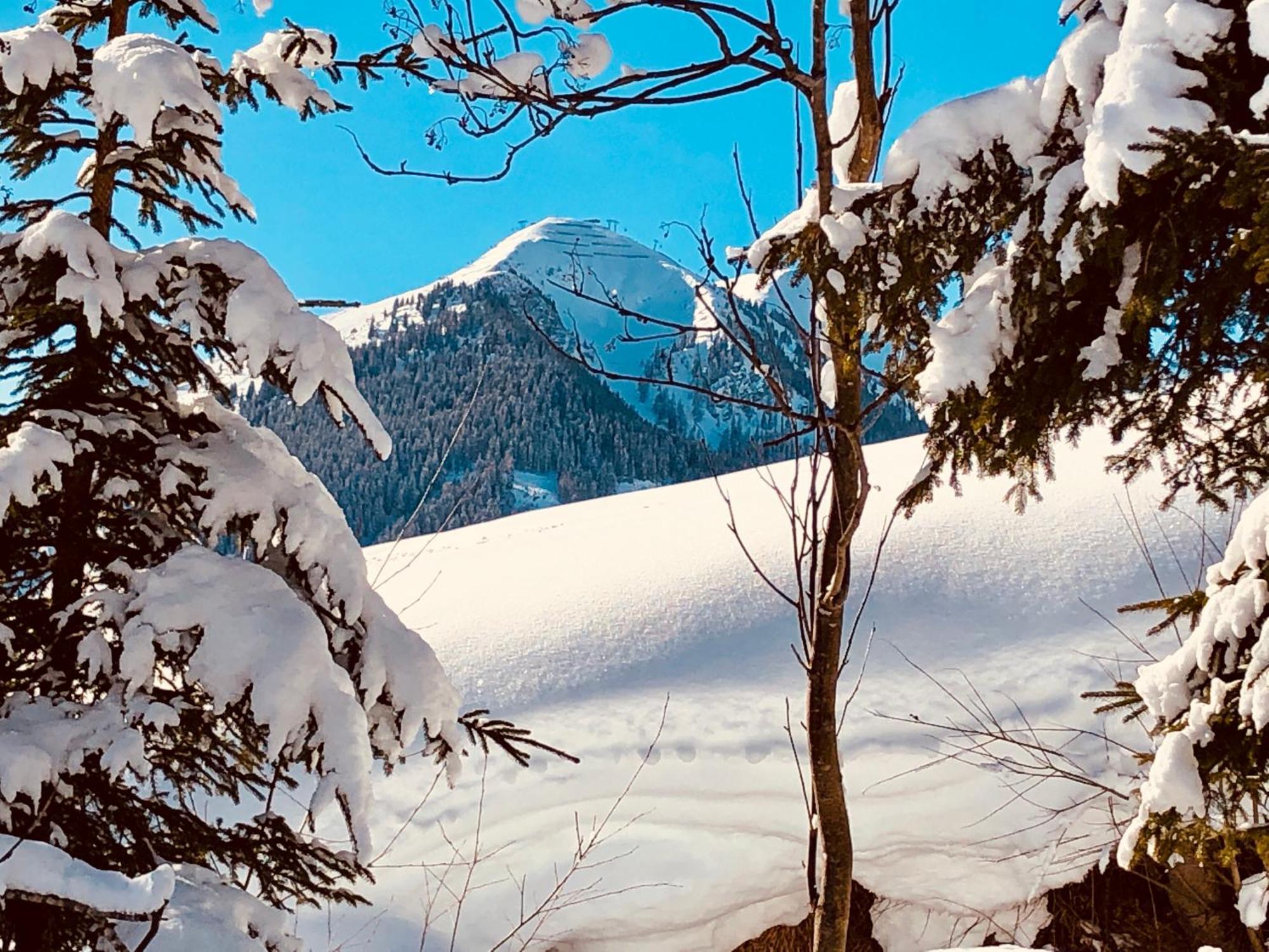 Appartements Living Saalbach 외부 사진